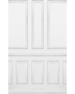 Bakgrunn Vinyl Motiv - 1.52x2.44 m